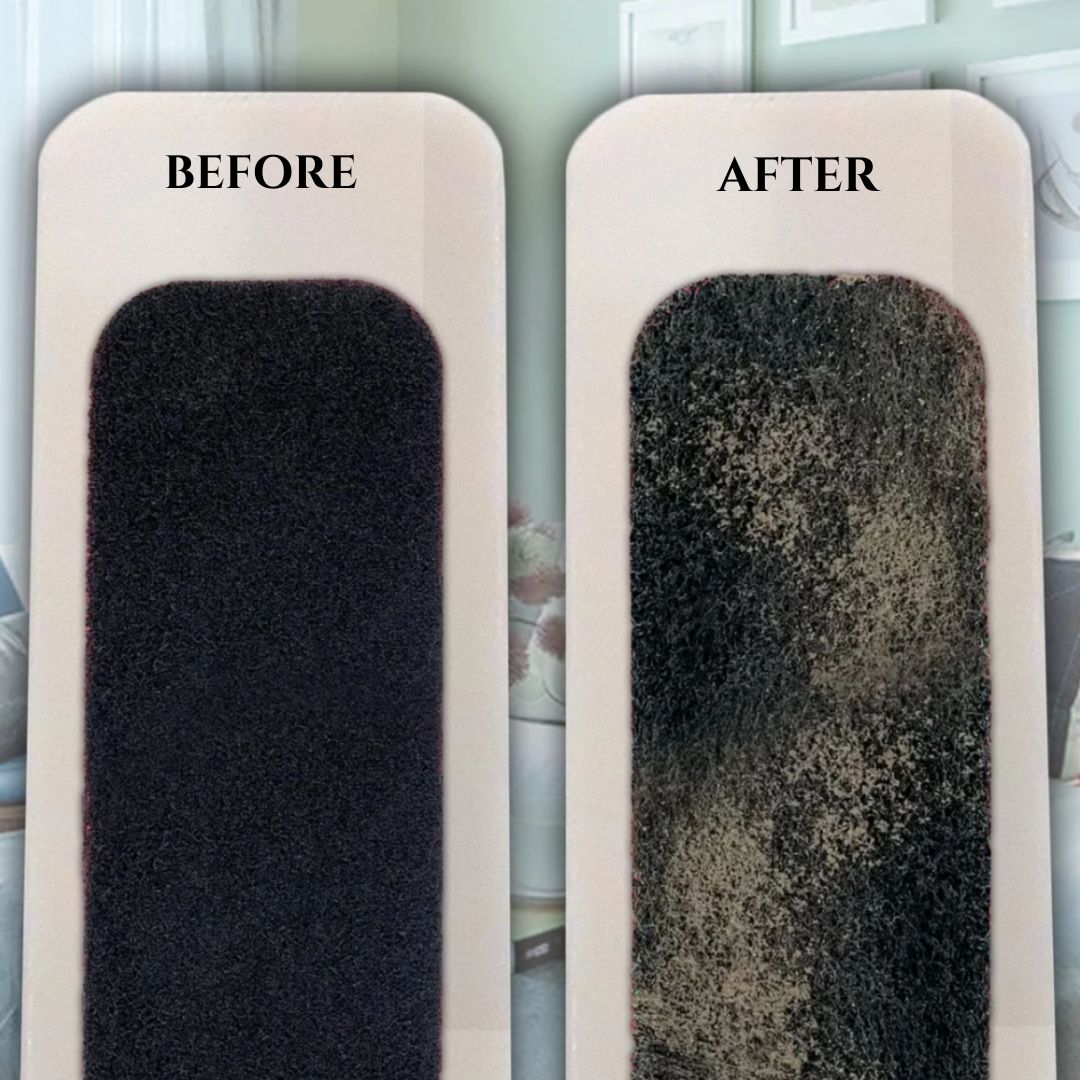 Ceiling Fan Filters | Activated Coconut PureBreath Shell Carbon Filter